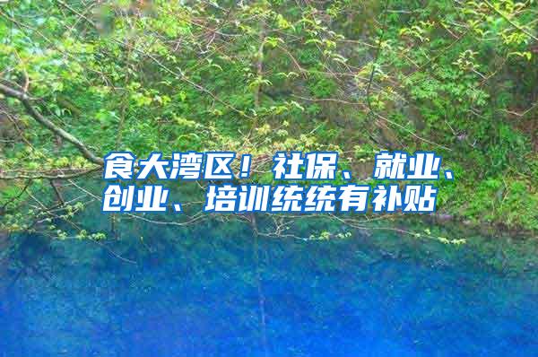 揾食大湾区！社保、就业、创业、培训统统有补贴