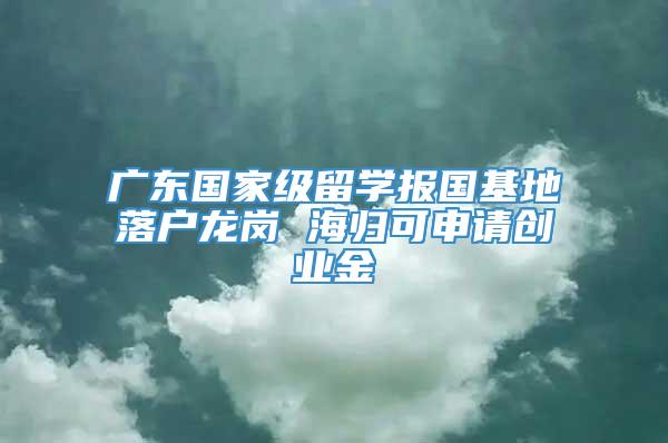 广东国家级留学报国基地落户龙岗 海归可申请创业金