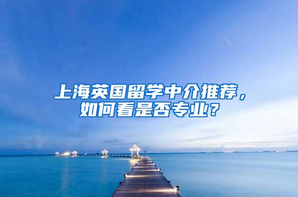 上海英国留学中介推荐，如何看是否专业？