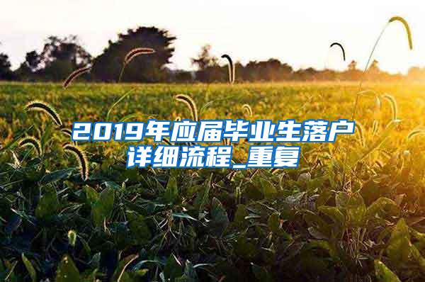 2019年应届毕业生落户详细流程_重复