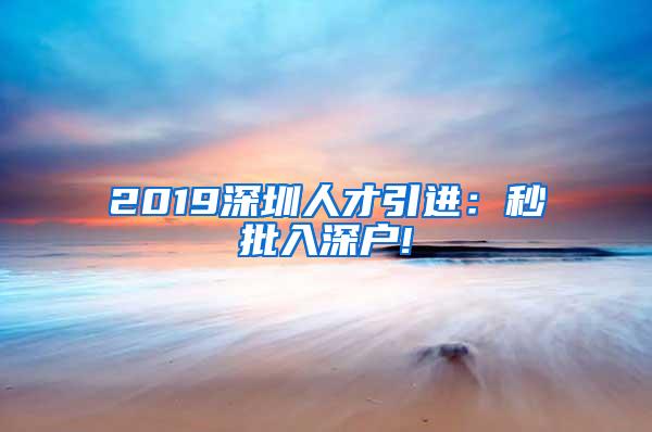 2019深圳人才引进：秒批入深户!