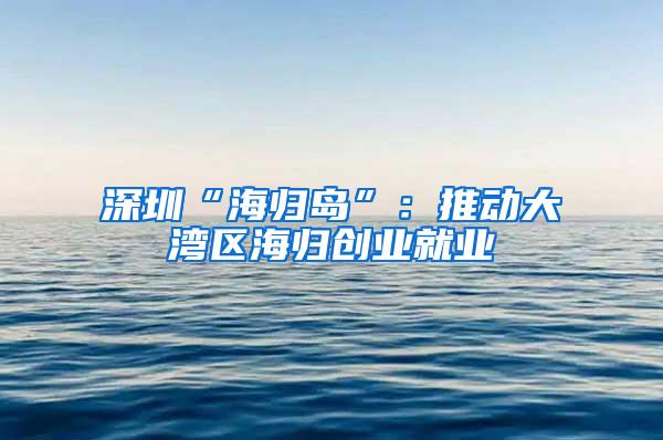 深圳“海归岛”：推动大湾区海归创业就业
