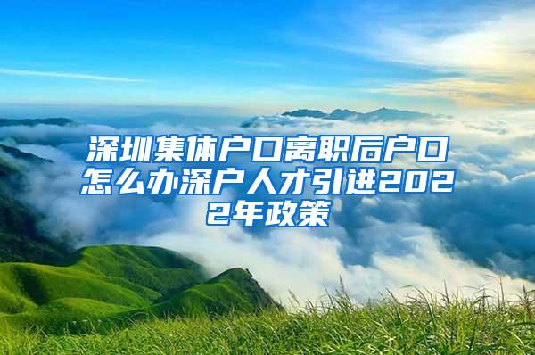 深圳集体户口离职后户口怎么办深户人才引进2022年政策