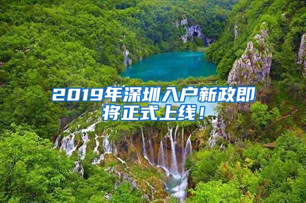 2019年深圳入户新政即将正式上线！