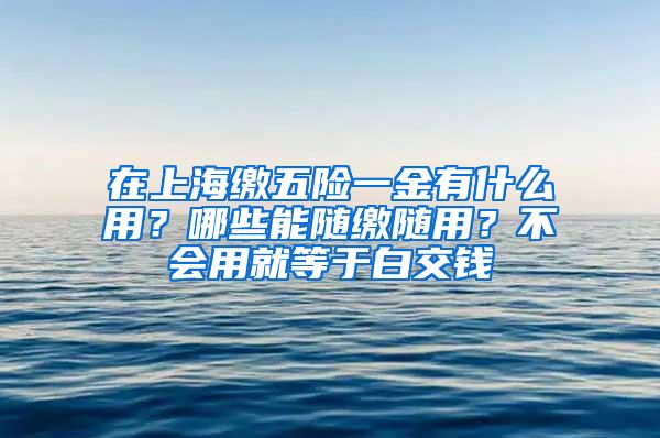 在上海缴五险一金有什么用？哪些能随缴随用？不会用就等于白交钱