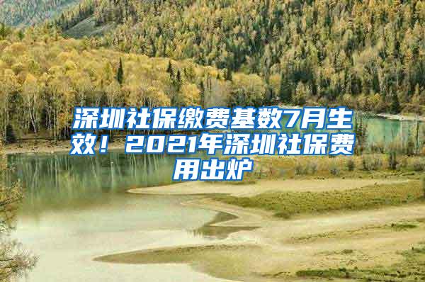 深圳社保缴费基数7月生效！2021年深圳社保费用出炉