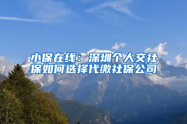 小保在线：深圳个人交社保如何选择代缴社保公司