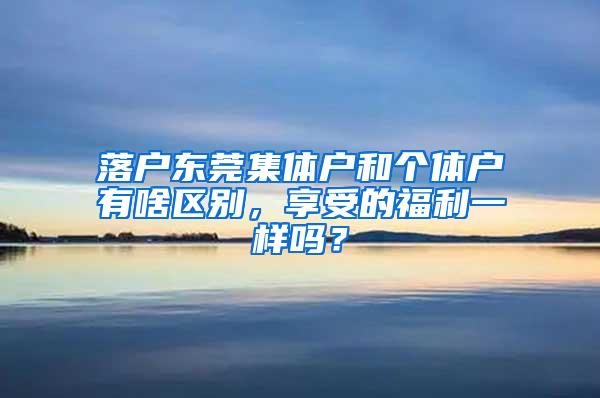 落户东莞集体户和个体户有啥区别，享受的福利一样吗？