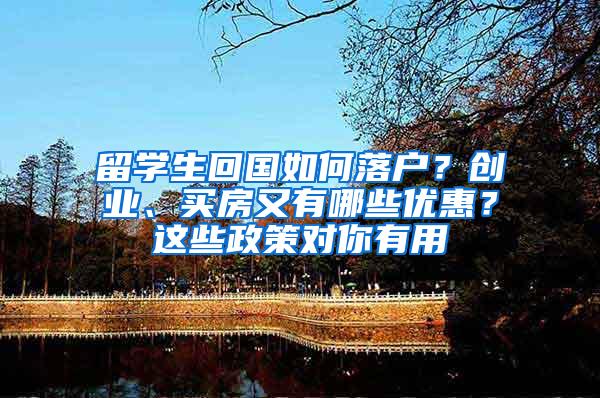 留学生回国如何落户？创业、买房又有哪些优惠？这些政策对你有用