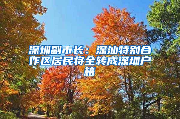 深圳副市长：深汕特别合作区居民将全转成深圳户籍