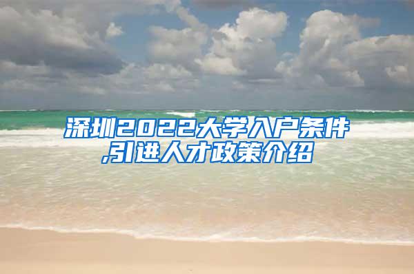 深圳2022大学入户条件,引进人才政策介绍