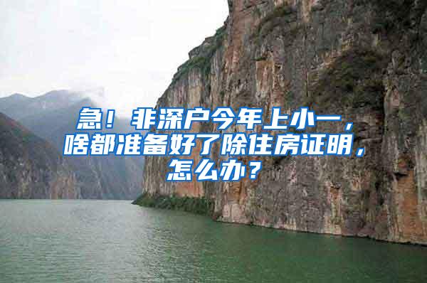 急！非深户今年上小一，啥都准备好了除住房证明，怎么办？