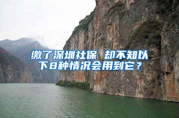 缴了深圳社保 却不知以下8种情况会用到它？