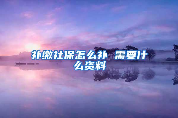 补缴社保怎么补 需要什么资料