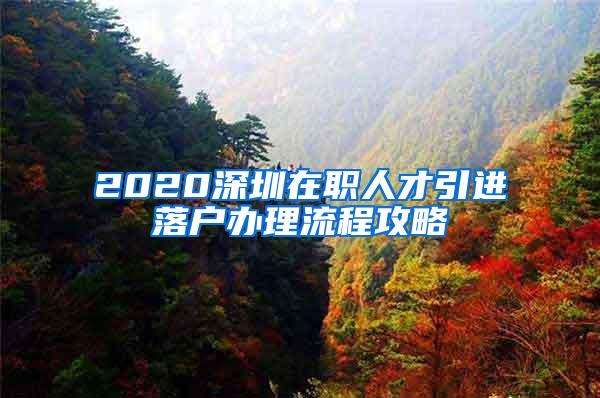 2020深圳在职人才引进落户办理流程攻略