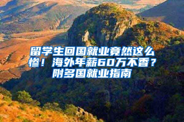 留学生回国就业竟然这么惨！海外年薪60万不香？附多国就业指南