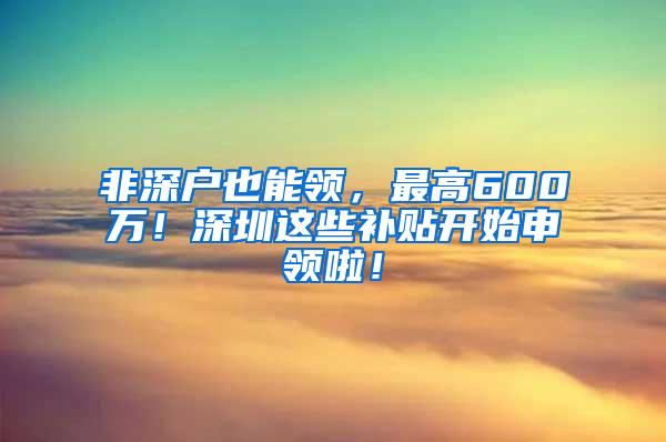 非深户也能领，最高600万！深圳这些补贴开始申领啦！