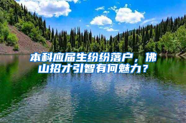 本科应届生纷纷落户，佛山招才引智有何魅力？