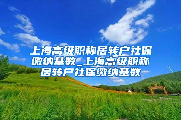 上海高级职称居转户社保缴纳基数_上海高级职称居转户社保缴纳基数