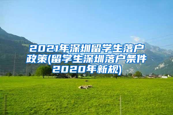 2021年深圳留学生落户政策(留学生深圳落户条件2020年新规)