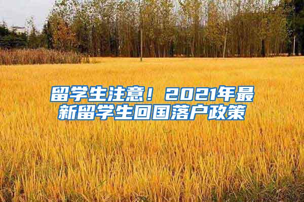 留学生注意！2021年最新留学生回国落户政策