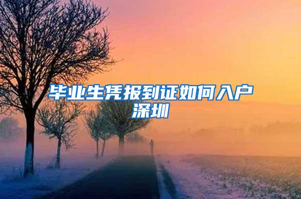 毕业生凭报到证如何入户深圳