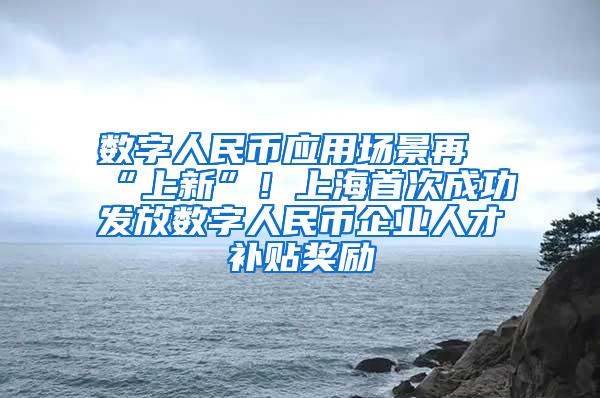 数字人民币应用场景再“上新”！上海首次成功发放数字人民币企业人才补贴奖励