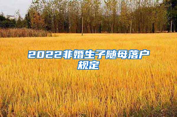 2022非婚生子随母落户规定