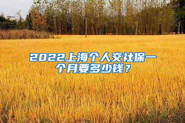 2022上海个人交社保一个月要多少钱？
