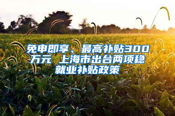 免申即享、最高补贴300万元 上海市出台两项稳就业补贴政策