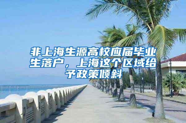 非上海生源高校应届毕业生落户，上海这个区域给予政策倾斜