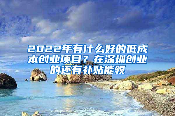 2022年有什么好的低成本创业项目？在深圳创业的还有补贴能领