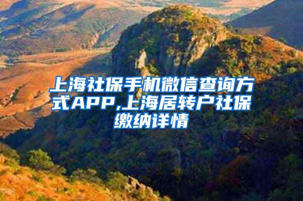 上海社保手机微信查询方式APP,上海居转户社保缴纳详情