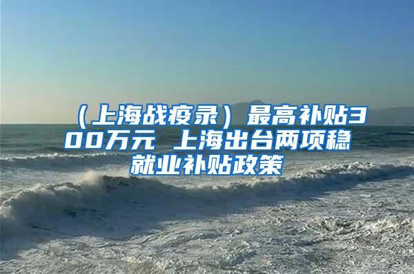 （上海战疫录）最高补贴300万元 上海出台两项稳就业补贴政策