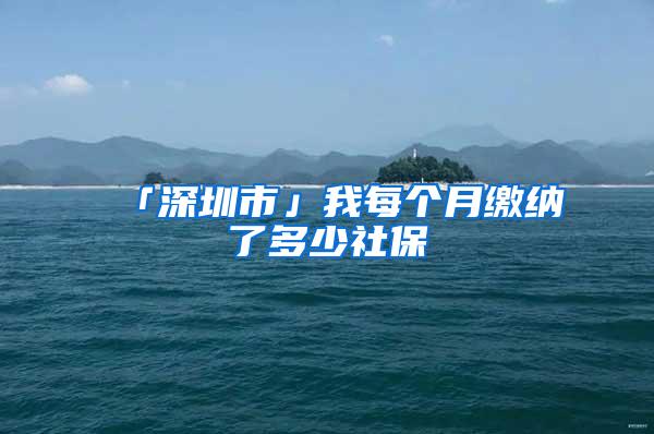 「深圳市」我每个月缴纳了多少社保