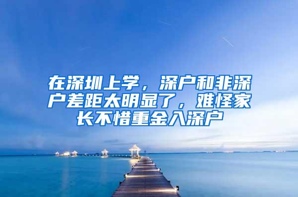 在深圳上学，深户和非深户差距太明显了，难怪家长不惜重金入深户