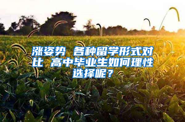 涨姿势 各种留学形式对比 高中毕业生如何理性选择呢？