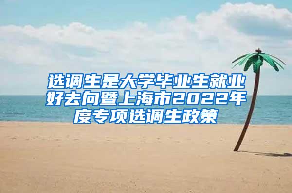 选调生是大学毕业生就业好去向暨上海市2022年度专项选调生政策