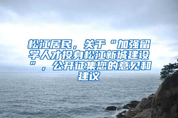 松江居民，关于“加强留学人才投身松江新城建设”，公开征集您的意见和建议→