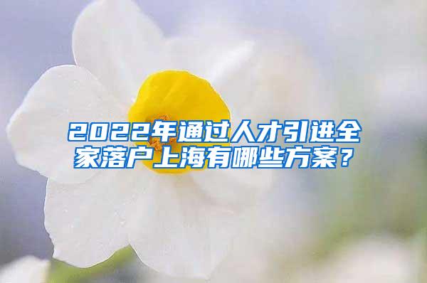 2022年通过人才引进全家落户上海有哪些方案？