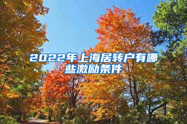 2022年上海居转户有哪些激励条件