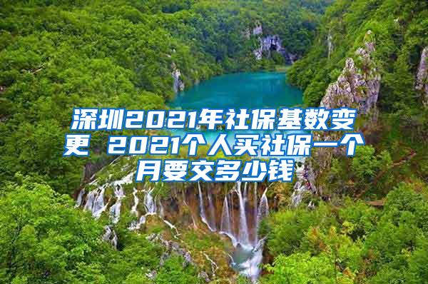 深圳2021年社保基数变更 2021个人买社保一个月要交多少钱