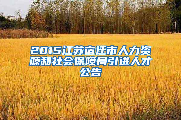 2015江苏宿迁市人力资源和社会保障局引进人才公告