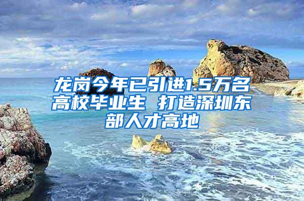 龙岗今年已引进1.5万名高校毕业生 打造深圳东部人才高地