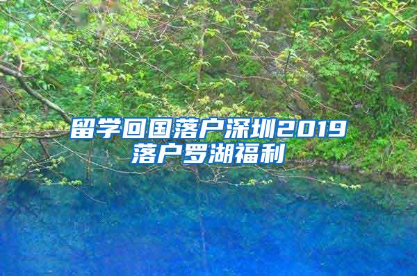 留学回国落户深圳2019落户罗湖福利