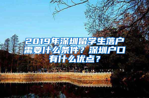2019年深圳留学生落户需要什么条件？深圳户口有什么优点？