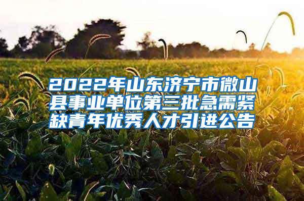 2022年山东济宁市微山县事业单位第三批急需紧缺青年优秀人才引进公告