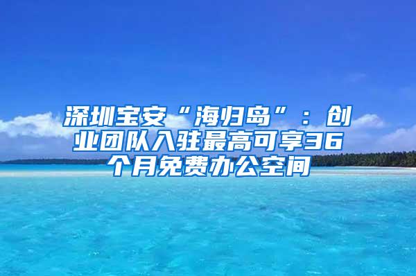 深圳宝安“海归岛”：创业团队入驻最高可享36个月免费办公空间