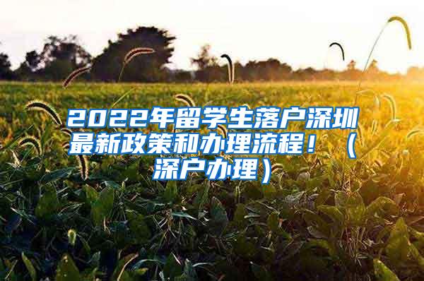 2022年留学生落户深圳最新政策和办理流程！（深户办理）