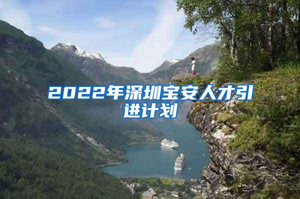 2022年深圳宝安人才引进计划